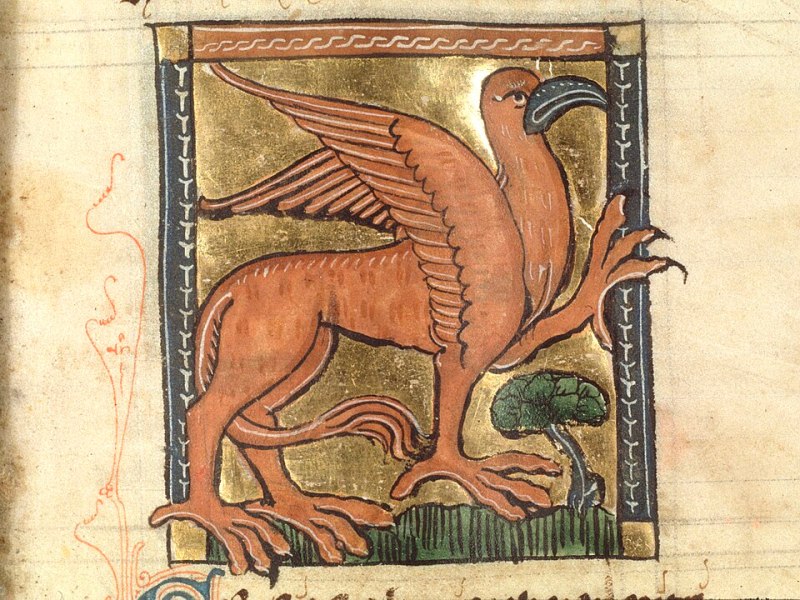 Le griffon
