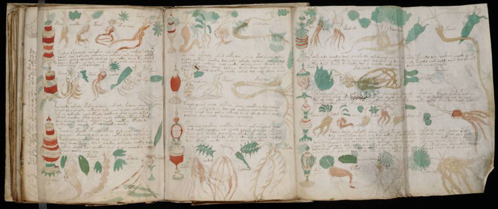 Le Manuscrit de Voynich : le livre que personne ne peut lire