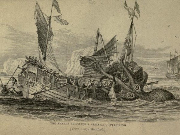 Le Kraken :La bête des abysses, entre mythe nordique et réalité&nbsp;scientifique